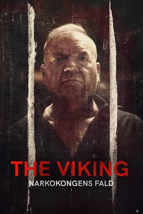 The Viking - Downfall of a Drug Lord (series)