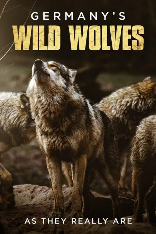 Germany's Wild Wolves - As They Really Are (movie)