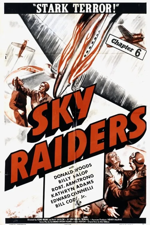 Sky Raiders (movie)