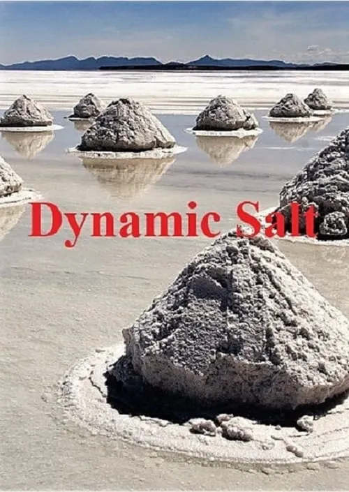 Dynamic Salt (movie)