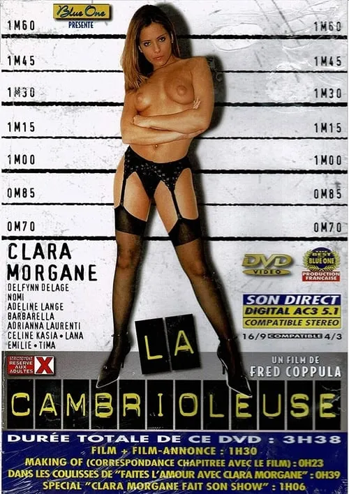 La Cambrioleuse (фильм)