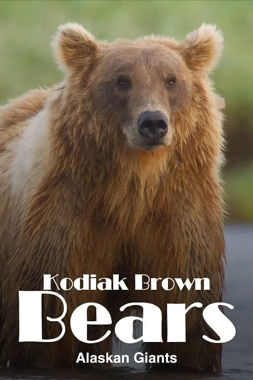 Alaska's Giant Bears (movie)