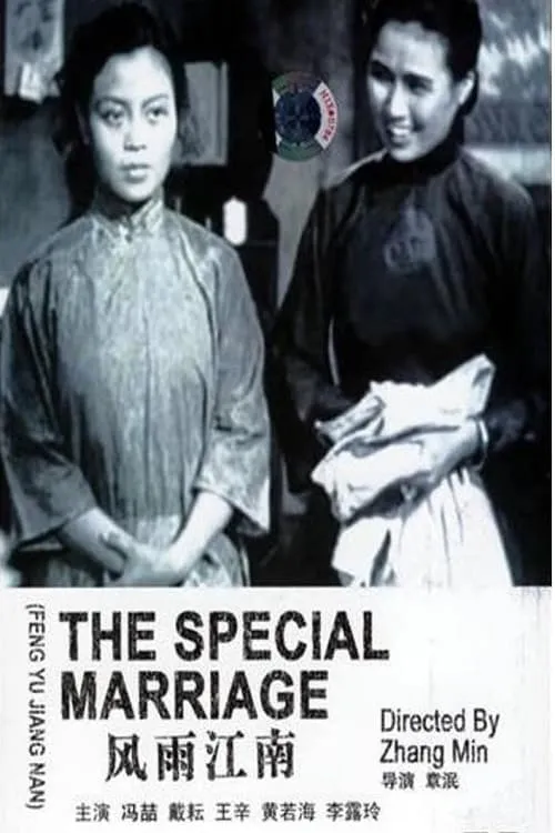 The Special Marriage (movie)