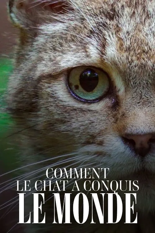 Comment le chat a conquis le monde (фильм)