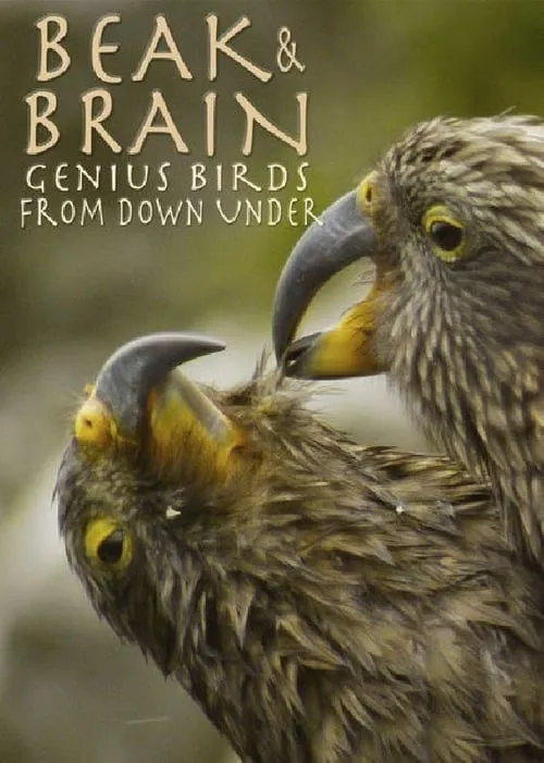 Beak & Brain - Genius Birds from Down Under (movie)