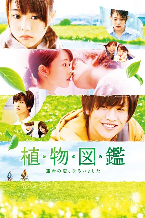 Evergreen Love (movie)