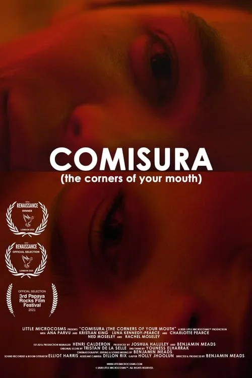 Comisura (The Corners of Your Mouth) (фильм)