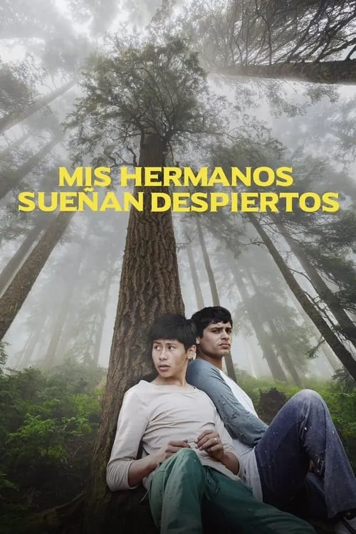 Mis hermanos sueñan despiertos (фильм)