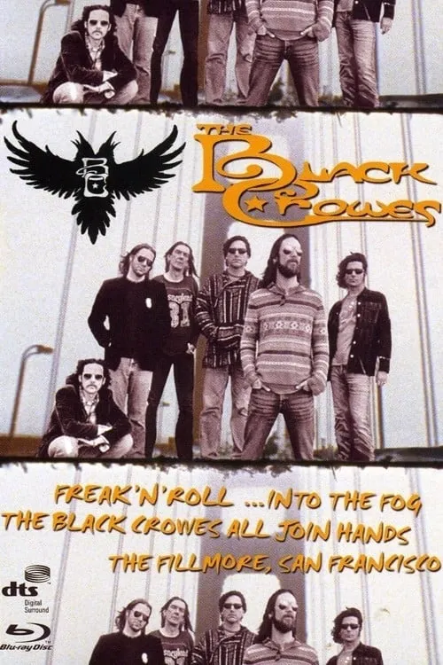 The Black Crowes - Freak 'n' Roll... Into the Fog (фильм)