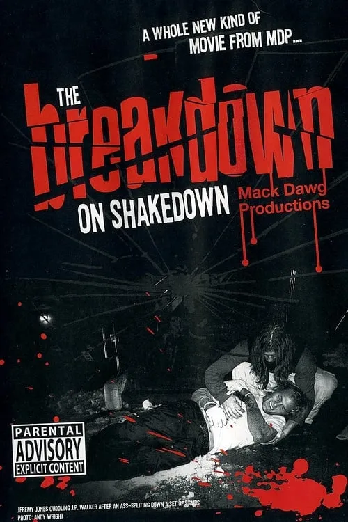 The Breakdown on Shakedown (movie)