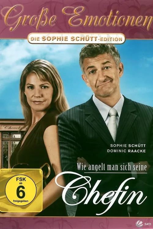 Wie angelt man sich seine Chefin (movie)