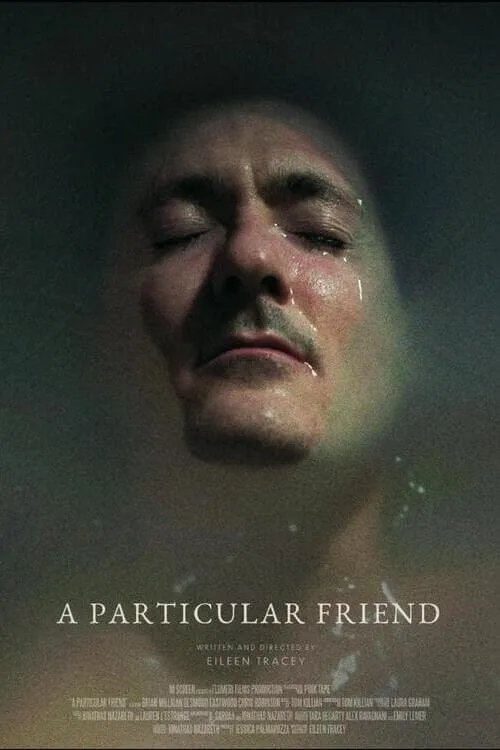 A Particular Friend (movie)