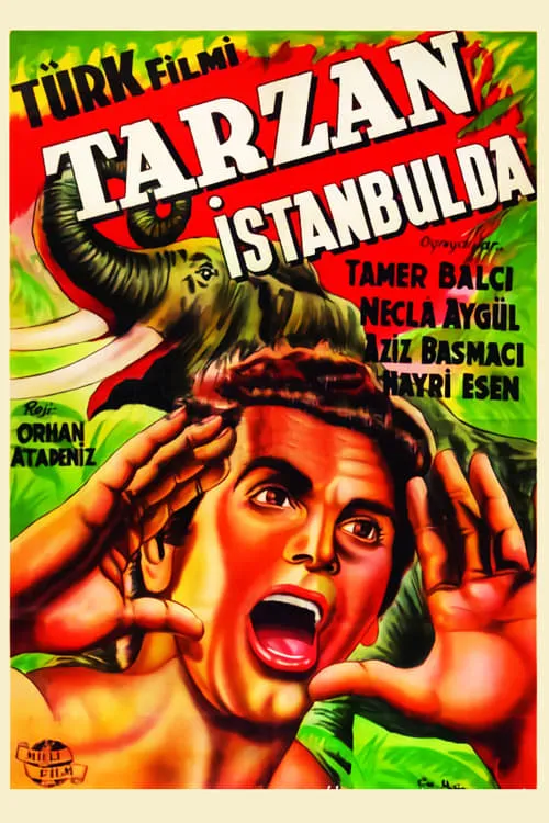 Tarzan in Istanbul (movie)