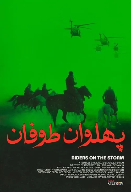 Riders on the Storm (movie)