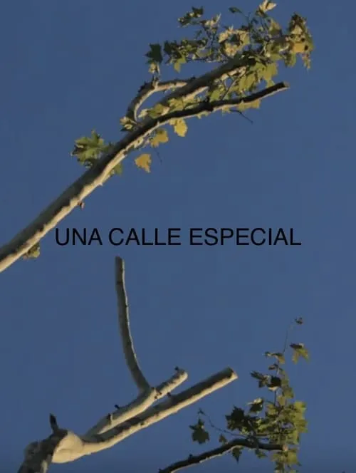 Una Calle Especial (movie)