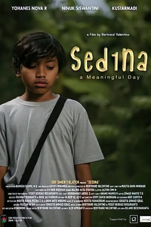 Sedina