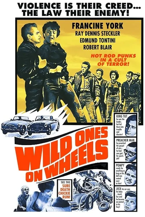 Wild Ones on Wheels (фильм)