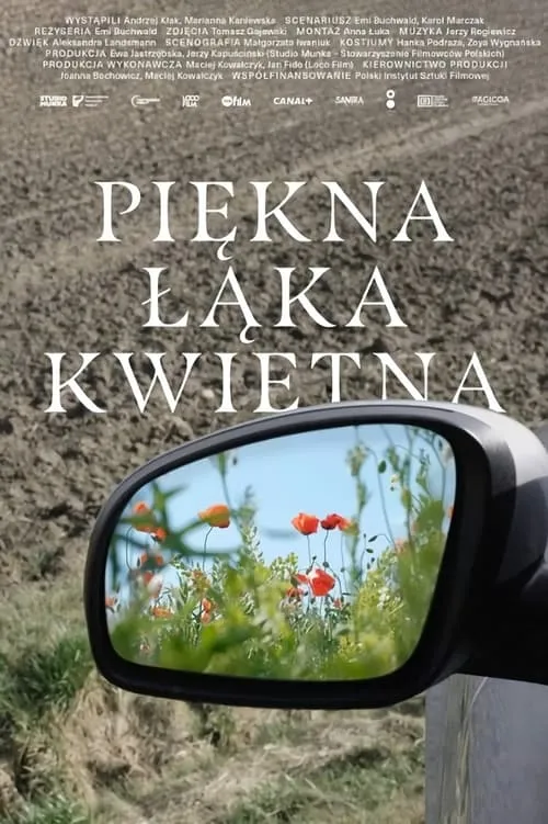 Piękna łąka kwietna (фильм)