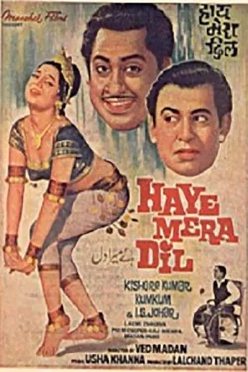 Haye Mera Dil (фильм)