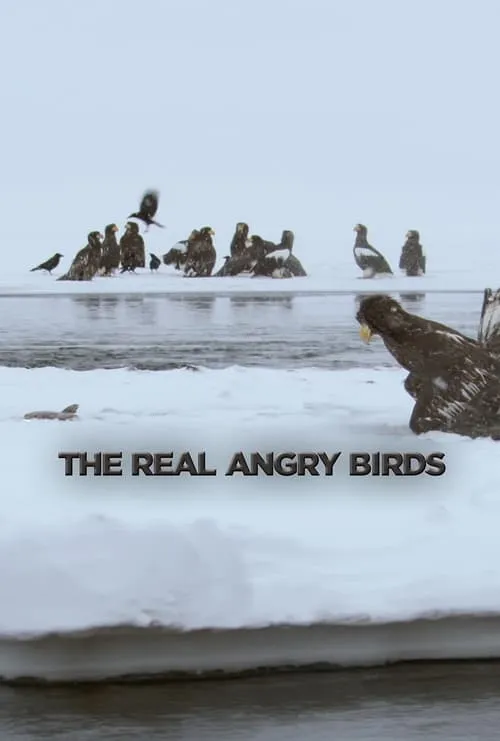 The Real Angry Birds (movie)