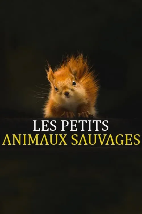 Les Petits Animaux Sauvages (series)