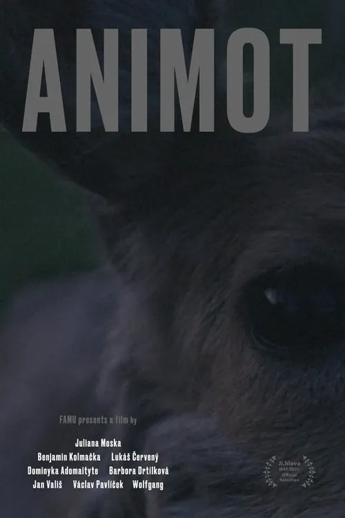 Animot