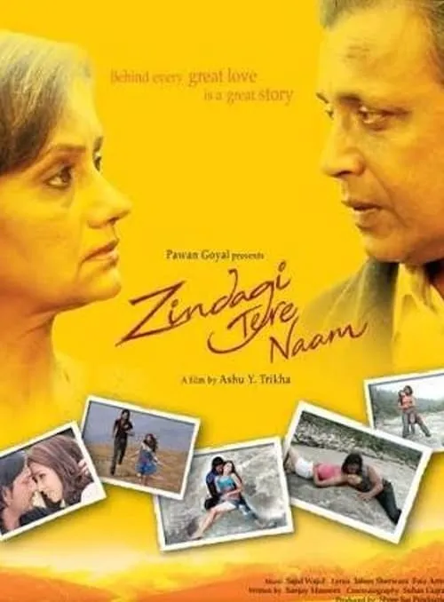 Zindagi Tere Naam (movie)