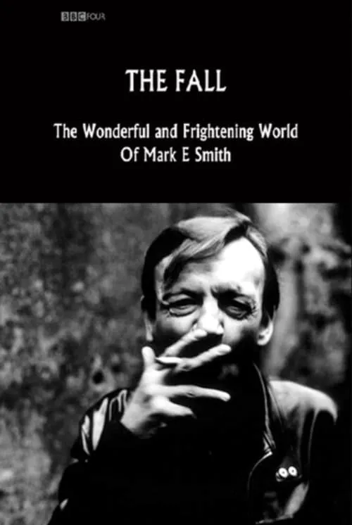 The Fall: The Wonderful and Frightening World of Mark E. Smith (movie)