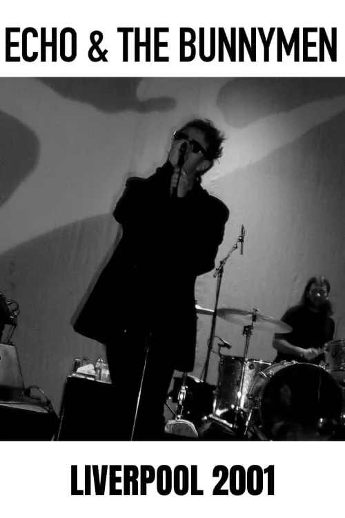 Echo And The Bunnymen: Live in Liverpool (фильм)