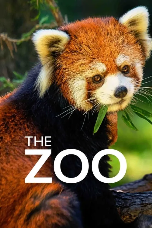 The Zoo (series)