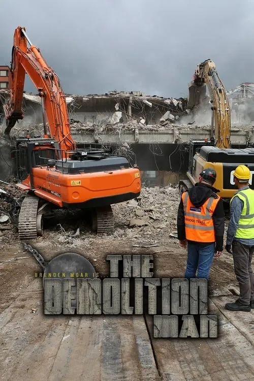 The Demolition Man (series)