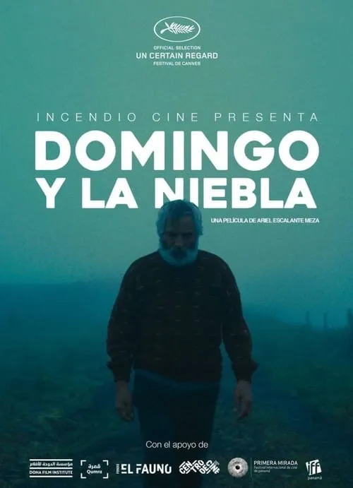 Domingo y la niebla (фильм)