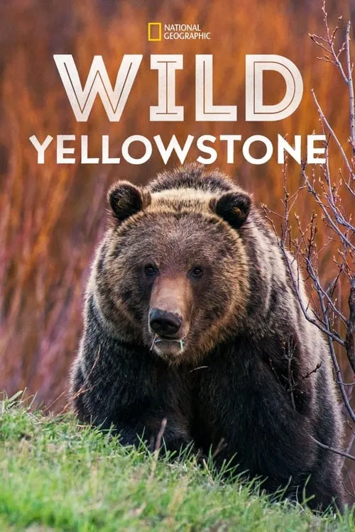 Wild Yellowstone (сериал)