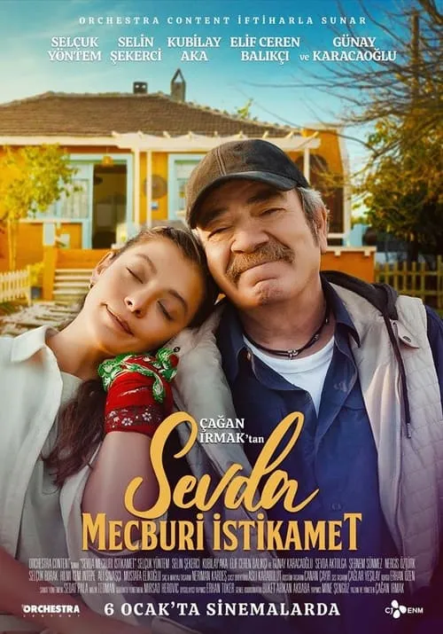 Sevda Mecburi İstikamet (movie)