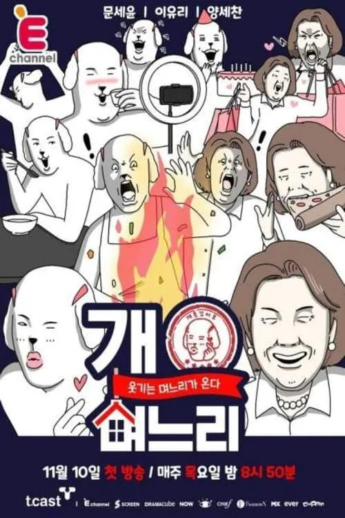 개며느리