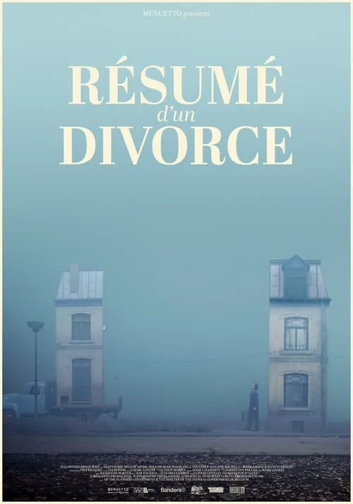 Résumé d'un divorce (фильм)