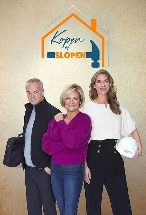 Kopen of Slopen? (сериал)