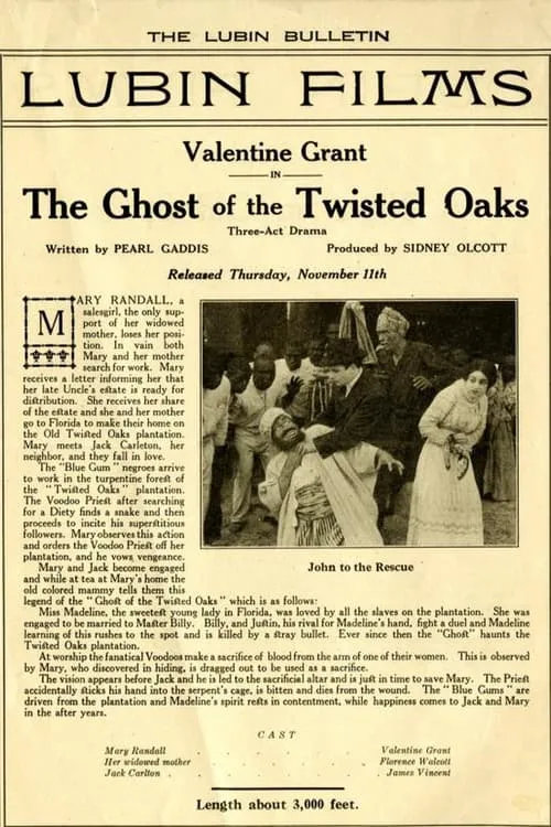 The Ghost of Twisted Oaks (movie)