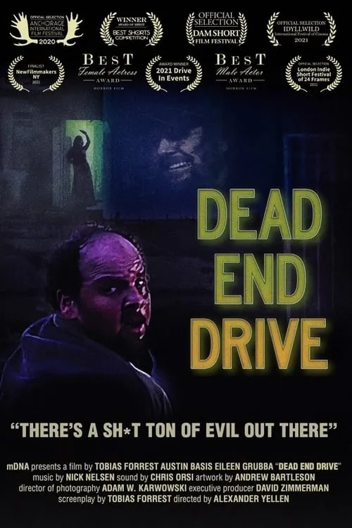 Dead End Drive (фильм)