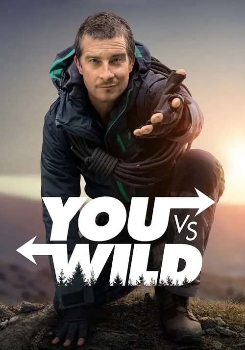 You vs. Wild (series)