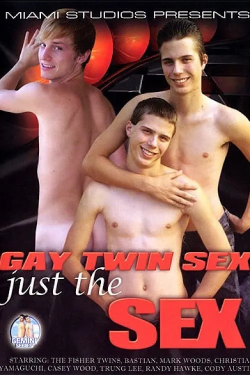 Gay Twin Sex: Just the Sex (movie)