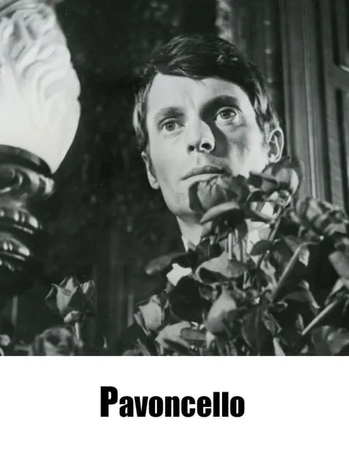 Pavoncello (movie)