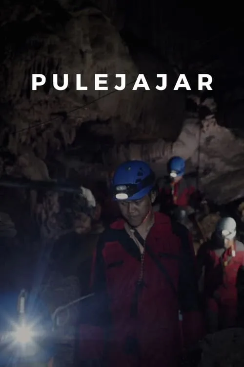 Pulejajar (movie)