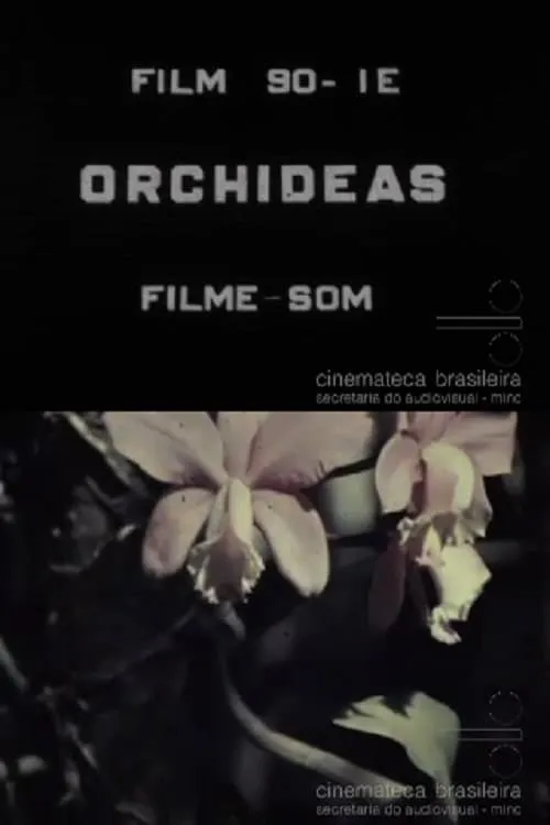 Orquídeas (movie)