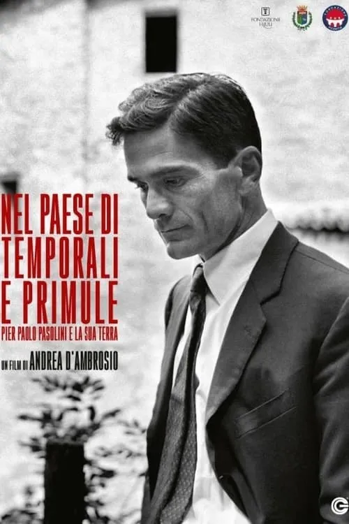 Nel paese di temporali e di primule - Pier Paolo Pasolini e la sua terra (фильм)