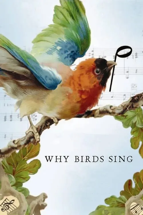 Why Birds Sing (фильм)