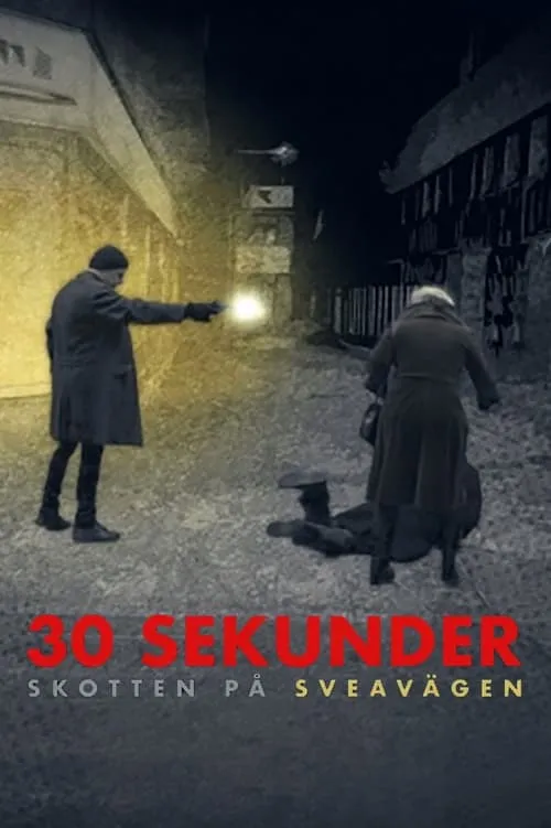 30 sekunder: Skotten på Sveavägen