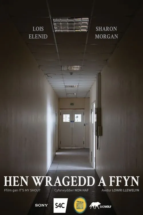 Hen Wragedd a Ffyn (movie)