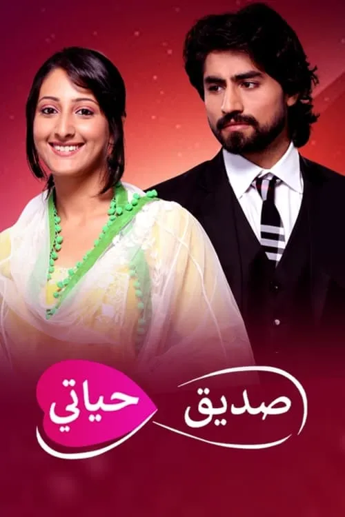 Humsafars (сериал)