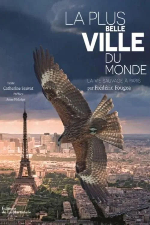 La Plus Belle Ville du monde (фильм)